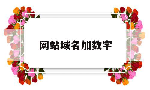 网站域名加数字(网址域名后面怎么输入),网站域名加数字(网址域名后面怎么输入),网站域名加数字,科技,投资,91,第1张