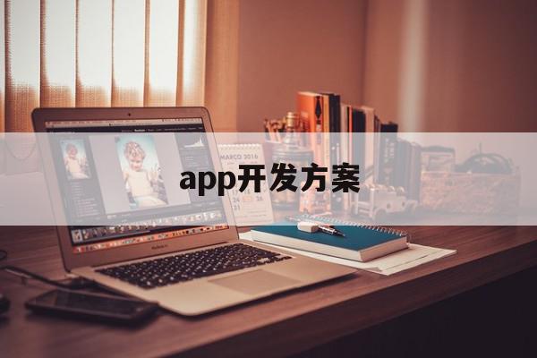 app开发方案(app开发项目实施方案)