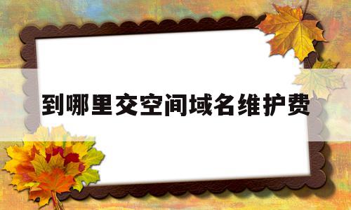 到哪里交空间域名维护费(域名空间费用是什么意思啊)