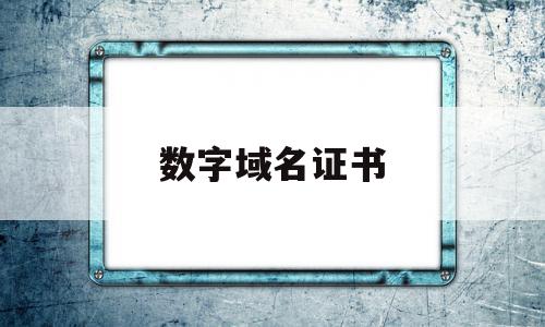 数字域名证书(域名证书生成器)