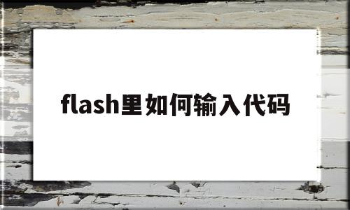 flash里如何输入代码(flash代码片段怎么打开)