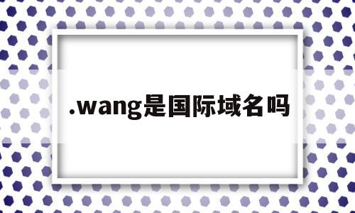 .wang是国际域名吗的简单介绍