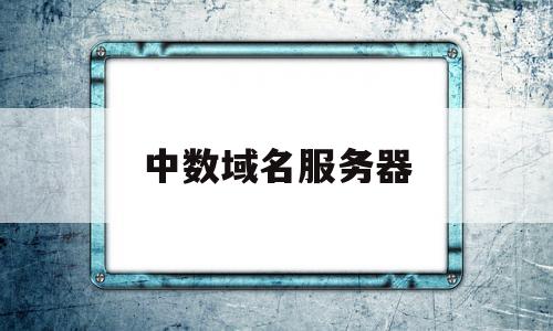 中数域名服务器(中数域名服务器是什么),中数域名服务器(中数域名服务器是什么),中数域名服务器,信息,浏览器,排名,第1张
