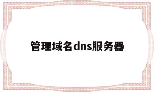 管理域名dns服务器(dns域名服务器设置)