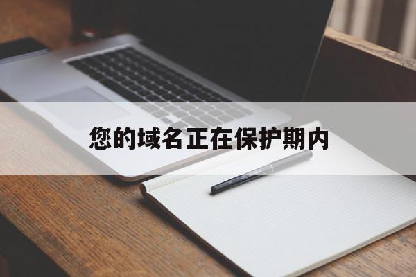 您的域名正在保护期内(域名保护期多久)