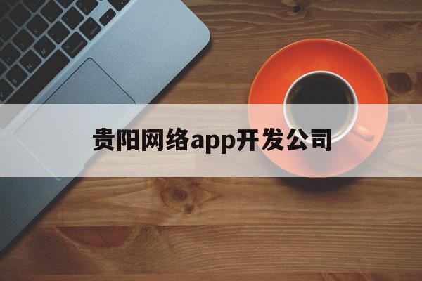 贵阳网络app开发公司(贵阳app软件开发)