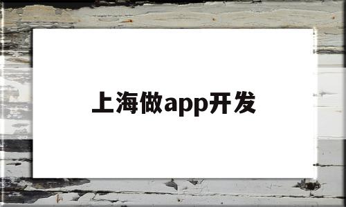上海做app开发(上海做app开发公司工资不发怎么办)