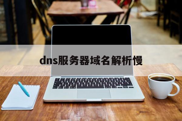 dns服务器域名解析慢(dns域名解析服务器的作用)