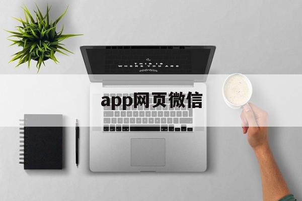 app网页微信(网页微信软件)