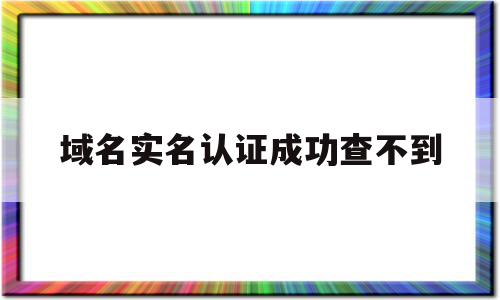 域名实名认证成功查不到(域名实名认证成功后怎么办)