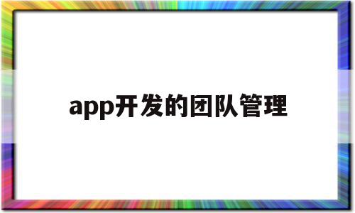 app开发的团队管理(app的团队管理模式)