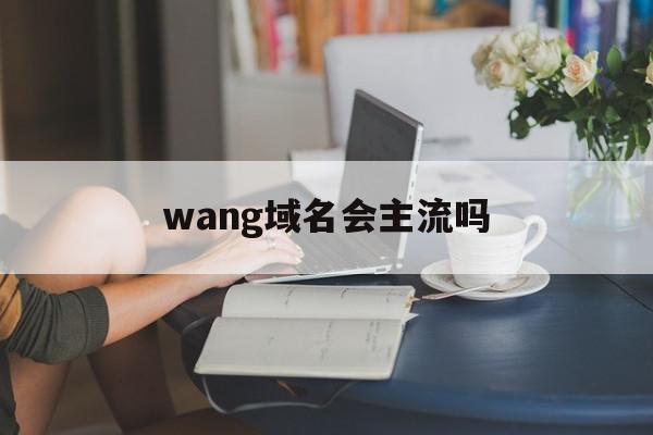 wang域名会主流吗(wang域名值得投资吗)