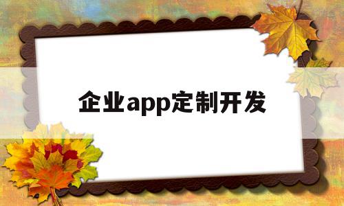 企业app定制开发(企业app定制开发流程),企业app定制开发(企业app定制开发流程),企业app定制开发,APP,科技,app,第1张