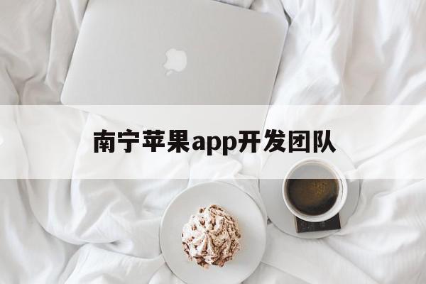 南宁苹果app开发团队(南宁app开发公司)