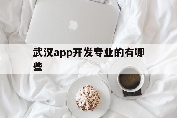 武汉app开发专业的有哪些(武汉app开发专业的有哪些公司),武汉app开发专业的有哪些(武汉app开发专业的有哪些公司),武汉app开发专业的有哪些,视频,APP,app,第1张