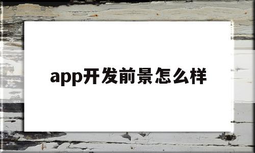 包含app开发前景怎么样的词条