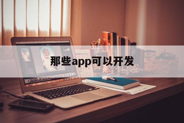 那些app可以开发(开发什么app可以赚钱)