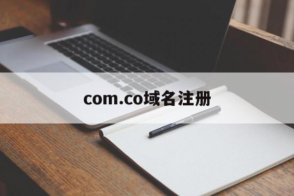 com.co域名注册(com域名注册局官网)