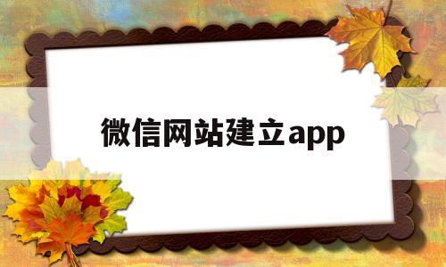 微信网站建立app(微信网站应用开发教程)