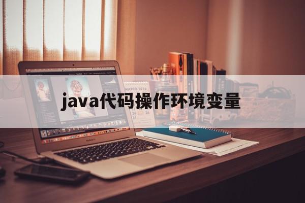 java代码操作环境变量(java代码操作环境变量是什么)