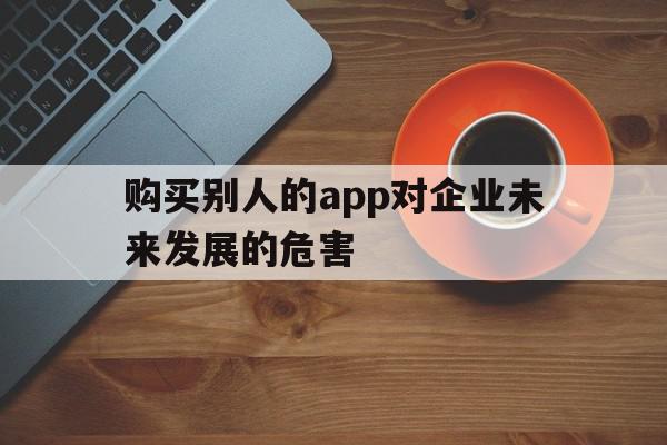 包含购买别人的app对企业未来发展的危害的词条