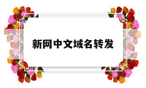 新网中文域名转发(新网中文域名转发网站),新网中文域名转发(新网中文域名转发网站),新网中文域名转发,营销,浏览器,部位,第1张