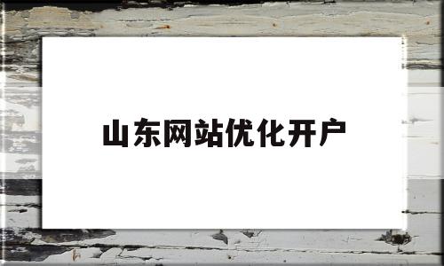 山东网站优化开户(山东网站优化开户服务)