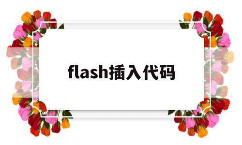 flash插入代码(flash在哪里写代码)