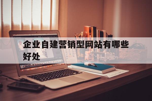 企业自建营销型网站有哪些好处(营销型企业网站制作)