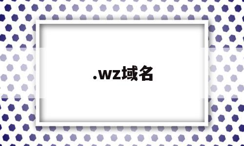 .wz域名的简单介绍