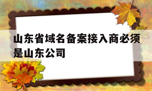 山东省域名备案接入商必须是山东公司(山东域名备案注销)