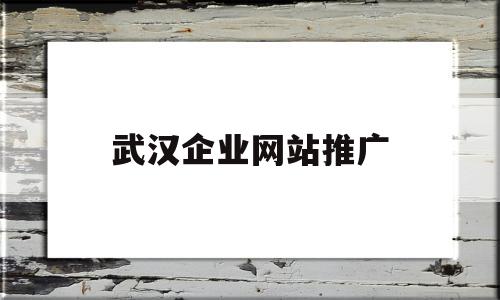 武汉企业网站推广(武汉企业网站推广哪家公司好)