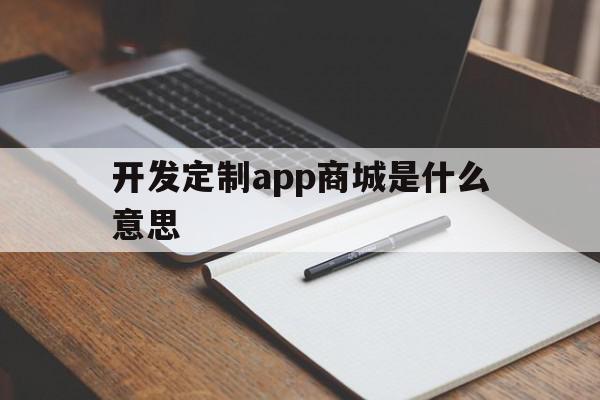 开发定制app商城是什么意思(定制app软件开发)