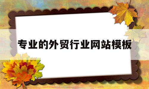 专业的外贸行业网站模板(外贸网站建设哪家正规)