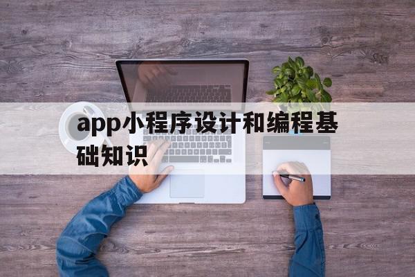 app小程序设计和编程基础知识(小程序设计与开发)