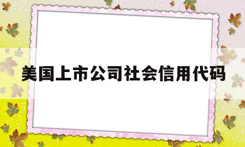 美国上市公司社会信用代码(美国上市公司社会信用代码是多少)