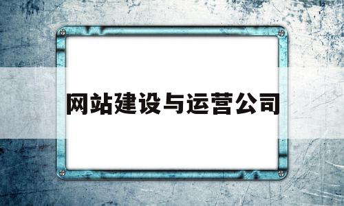 网站建设与运营公司(网站建设与运营公司收入预算)