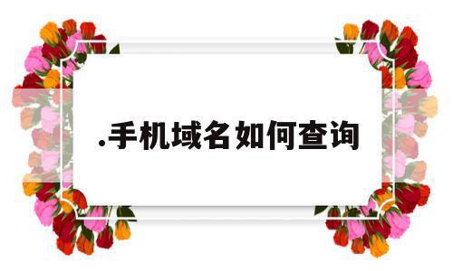 .手机域名如何查询(手机域名如何查询是否正常),.手机域名如何查询(手机域名如何查询是否正常),.手机域名如何查询,信息,浏览器,域名注册,第1张