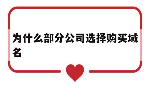 为什么部分公司选择购买域名(为什么有些公司前面没有域名),为什么部分公司选择购买域名(为什么有些公司前面没有域名),为什么部分公司选择购买域名,第1张