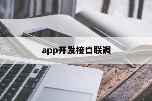 app开发接口联调(app接口开发框架)