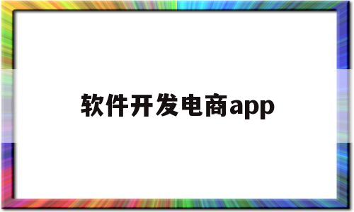 软件开发电商app(软件开发电商类)