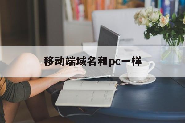 移动端域名和pc一样(移动端域名注册),移动端域名和pc一样(移动端域名注册),移动端域名和pc一样,第1张