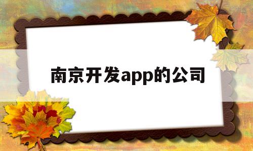 南京开发app的公司(南京开发app的公司叫什么)