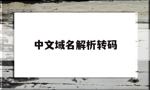 中文域名解析转码(中文域名转化)