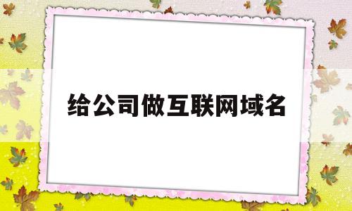 给公司做互联网域名(网络公司的域名是什么)