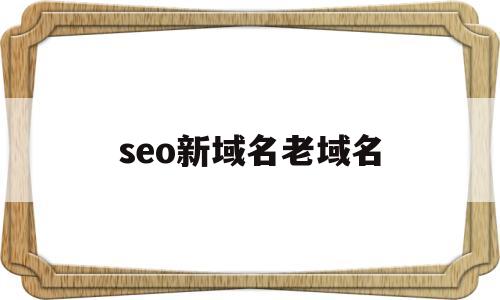 seo新域名老域名(老域名做新站多久收录)