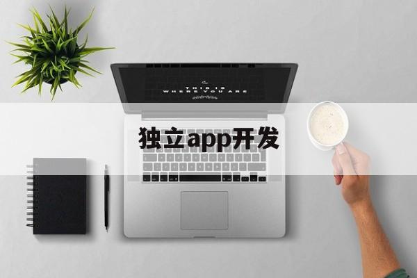 独立app开发(独立app开发者的收入)