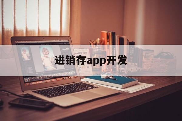 进销存app开发(进销存系统开发教程)