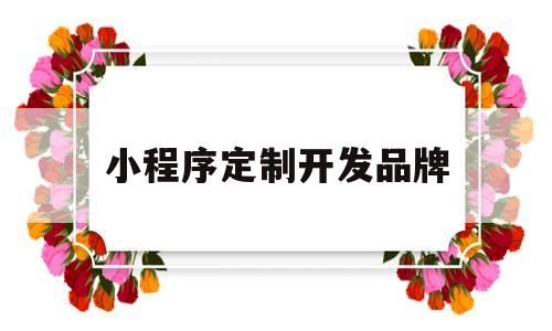 小程序定制开发品牌(小程序定制开发排名),小程序定制开发品牌(小程序定制开发排名),小程序定制开发品牌,第1张