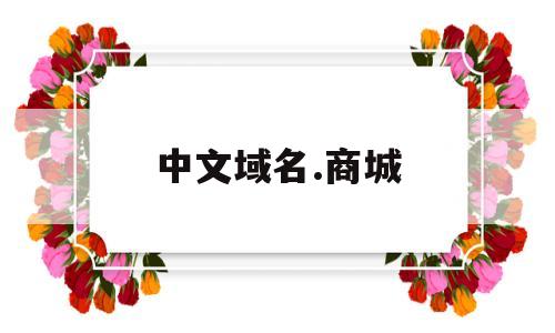 中文域名.商城(中文域名商城价格),中文域名.商城(中文域名商城价格),中文域名.商城,第1张